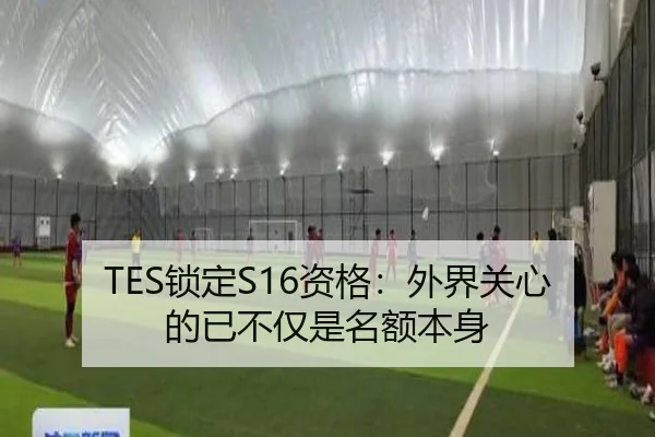 TES锁定S16资格：外界关心的已不仅是名额本身